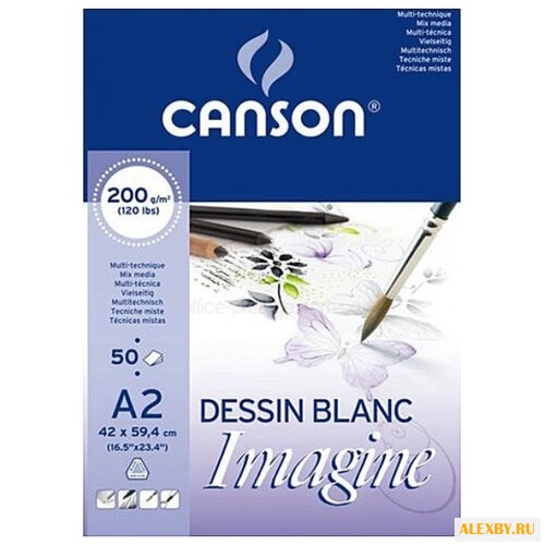 Купить Альбом Canson Imagine 59.4 х