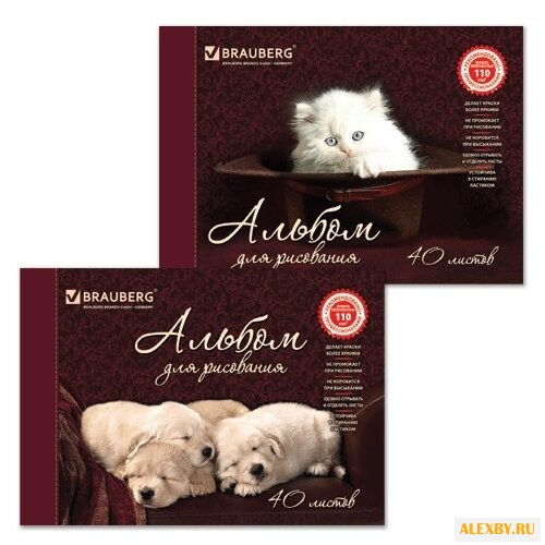 Альбом для рисования BRAUBERG