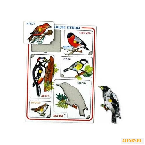 Рамка-вкладыш Оксва Птицы