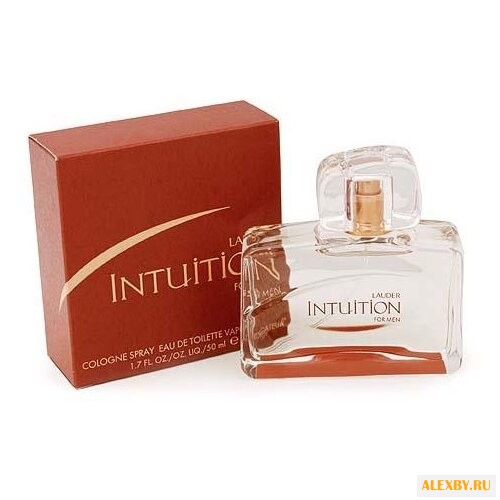 Estee Lauder Intuition for Men