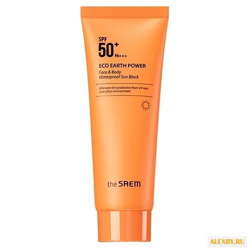 The Saem Eco Earth Power