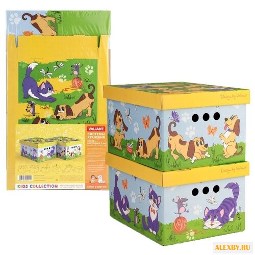Набор для хранения Valiant