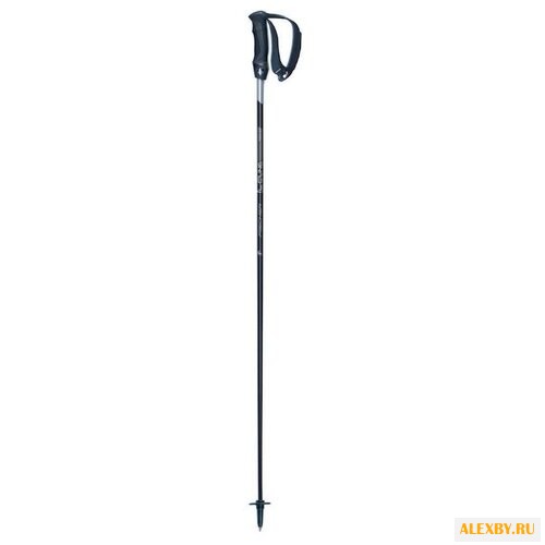 Купить Палки для горных лыж Fischer