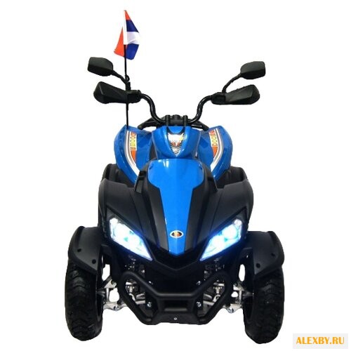 RiverToys Квадроцикл P333PP