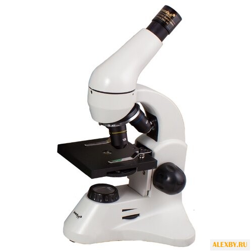 Микроскоп LEVENHUK Rainbow D50L