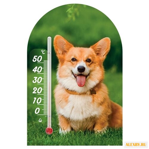 Термометр Стеклоприбор Зоо мир