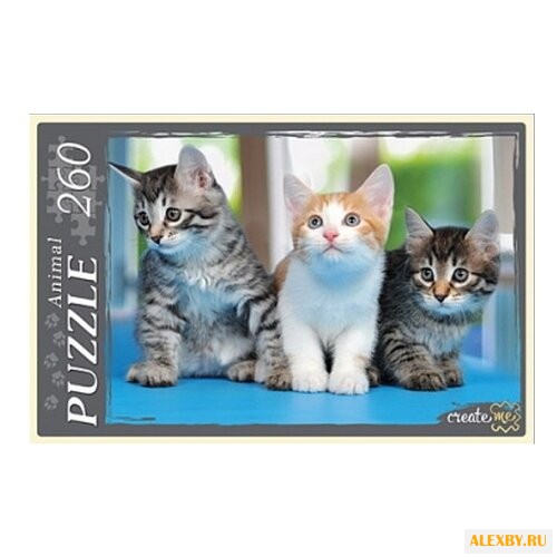 Пазл Рыжий кот Animal Три