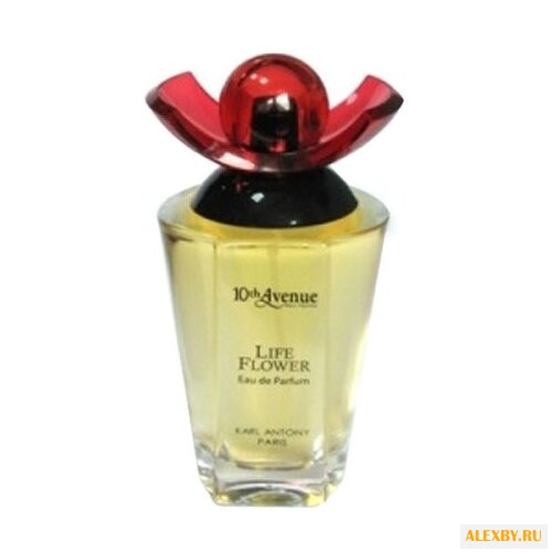 10th Avenue Karl Antony Life