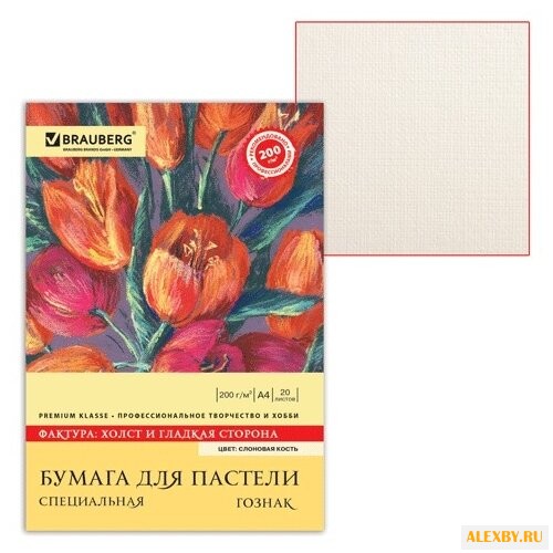 Папка для пастели BRAUBERG