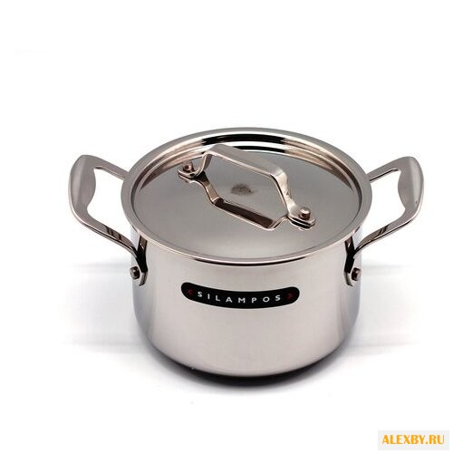 Кастрюля Silampos Onion 56 л