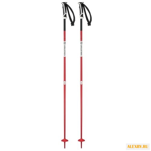 Палки для горных лыж Salomon