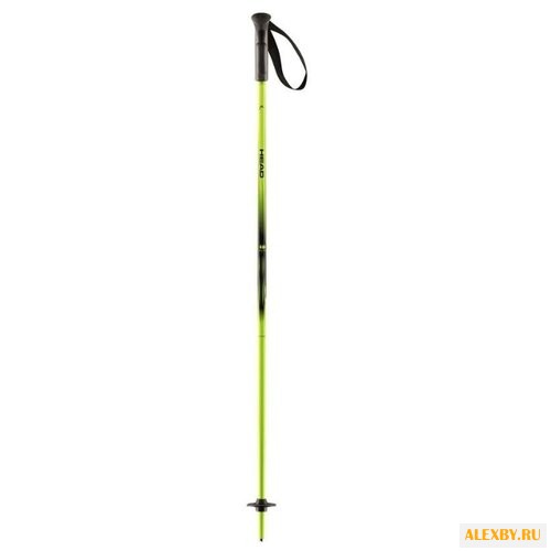Палки для горных лыж HEAD