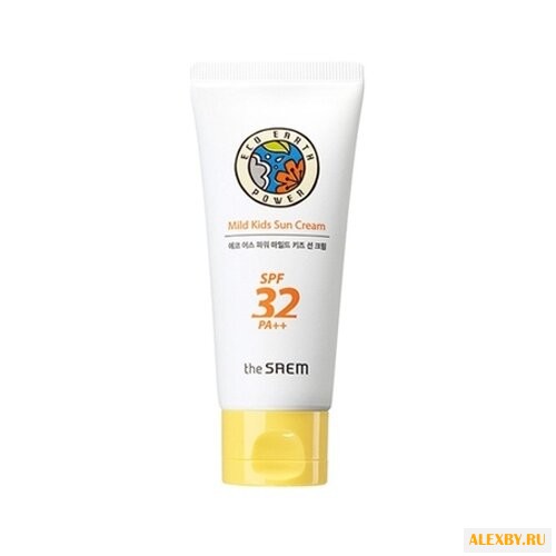 The Saem Eco Earth Power