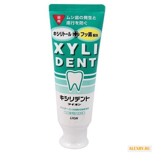 Зубная паста Lion Xylident 12+
