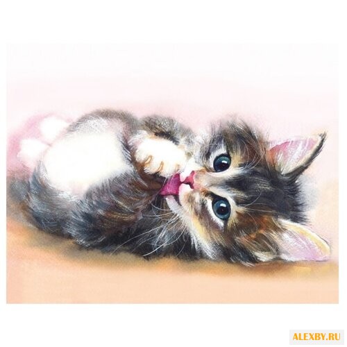 Цветной Набор алмазной вышивки