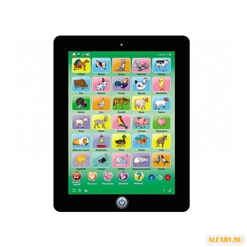 Планшет Рыжий кот Домашние