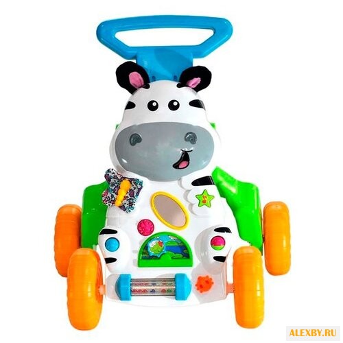 Каталка-ходунки everflo Зебра