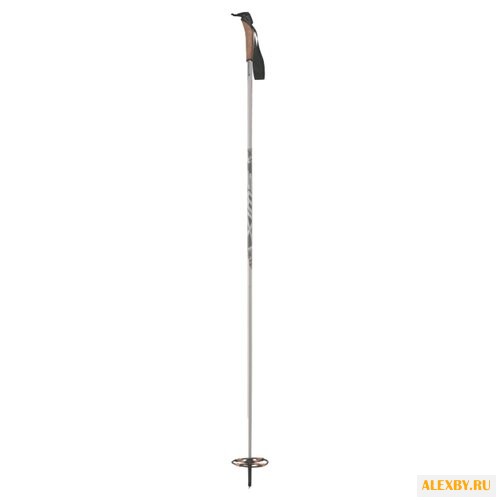 Лыжные палки Swix Mountain