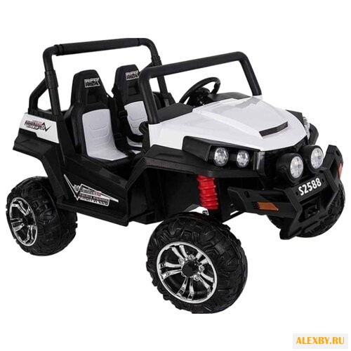 RiverToys Багги Buggy T009TT 4WD