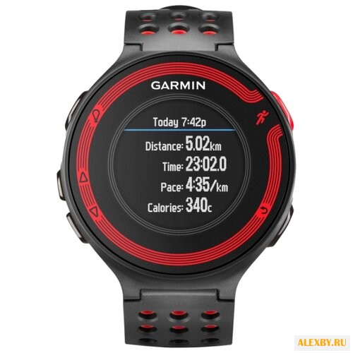 Часы Garmin Forerunner 220 HRM