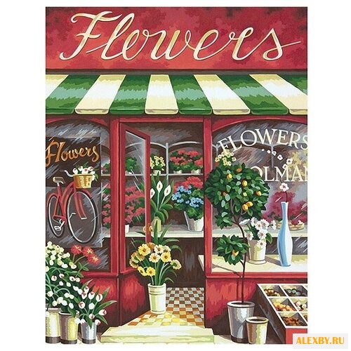 Dimensions Картина по номерам