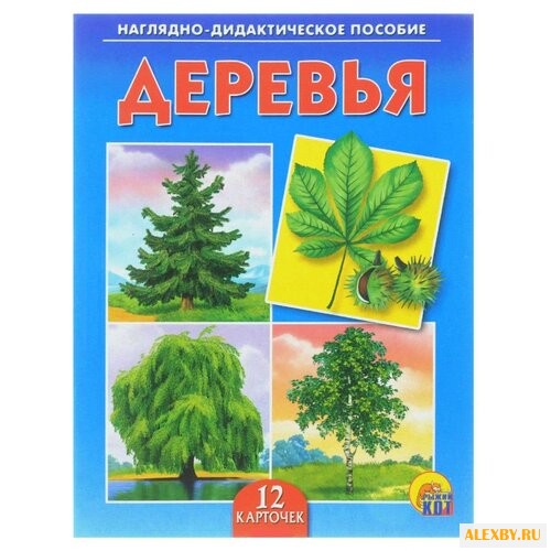 Набор карточек Рыжий кот