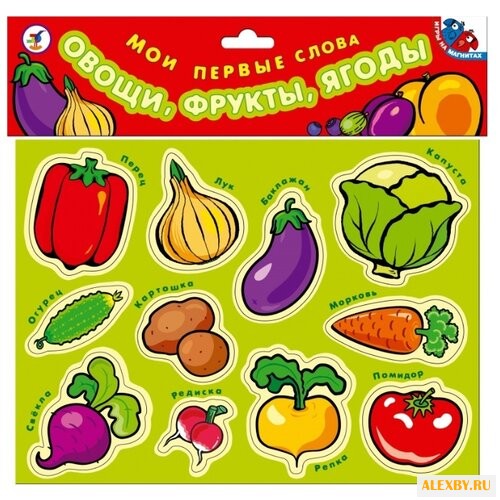 Игровой набор Дрофа-Медиа