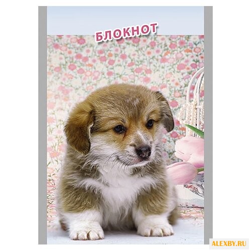 Блокнот КТС-ПРО Щенок и цветы