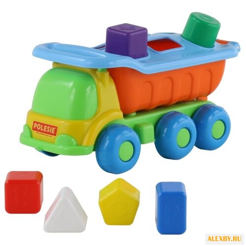 Сортер Полесье Кеша