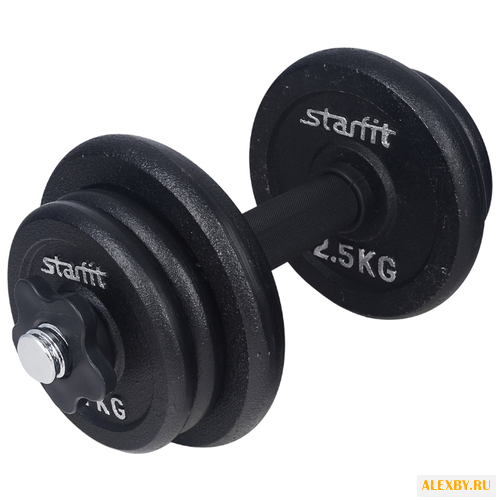 Гантель разборная Starfit