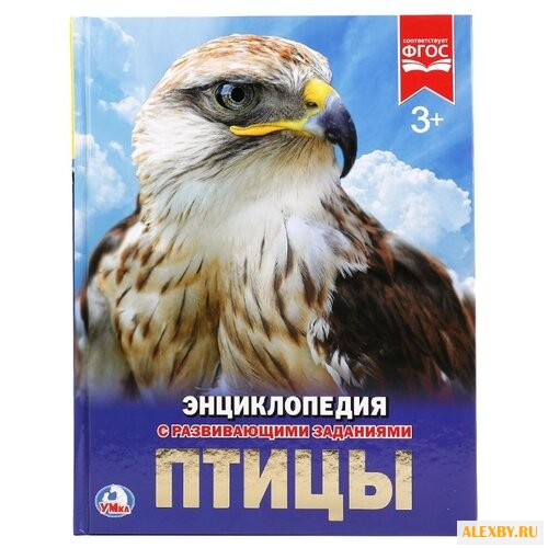 Волцит П. Птицы