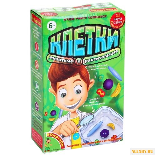 Набор BONDIBON Клетки ВВ1166