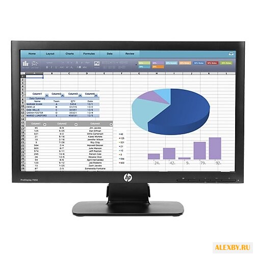 Монитор HP ProDisplay P202