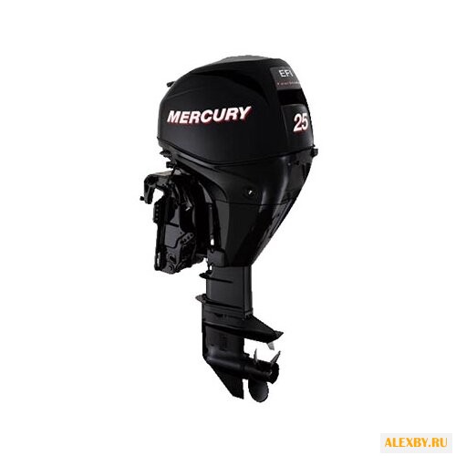 Лодочный мотор Mercury ME F 25