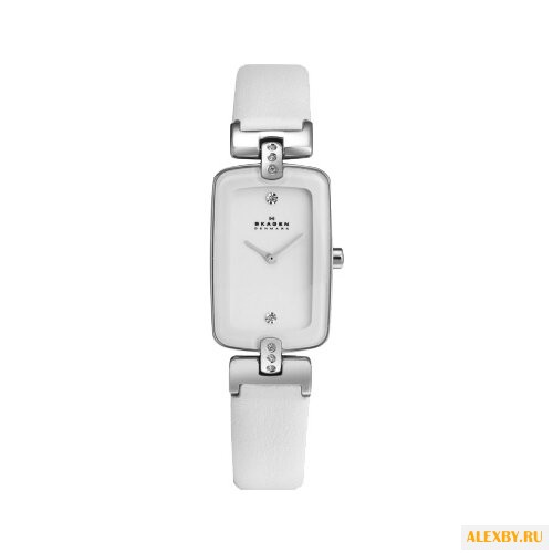 Наручные часы SKAGEN H01SSLW
