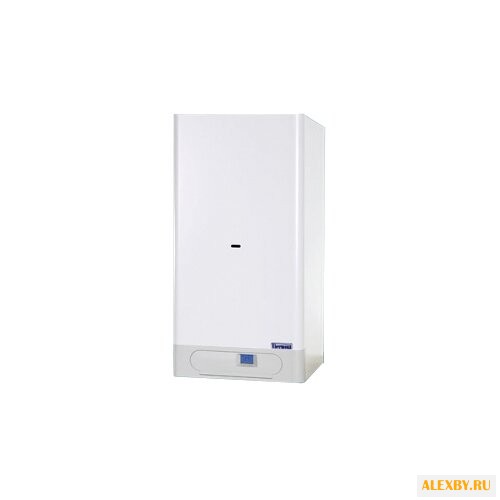 Газовый котел Thermona THERM 20