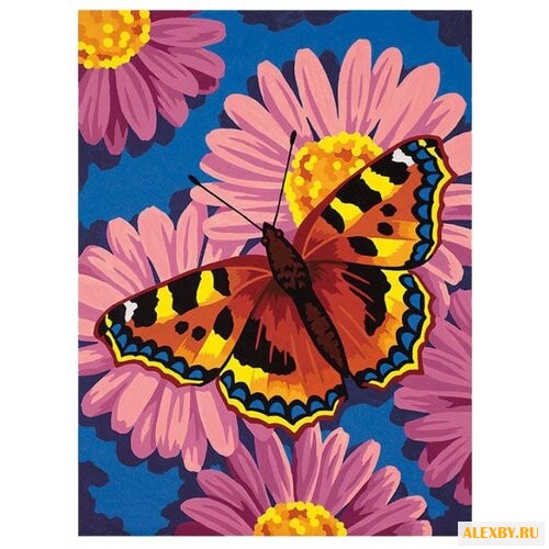 Dimensions Картина по номерам